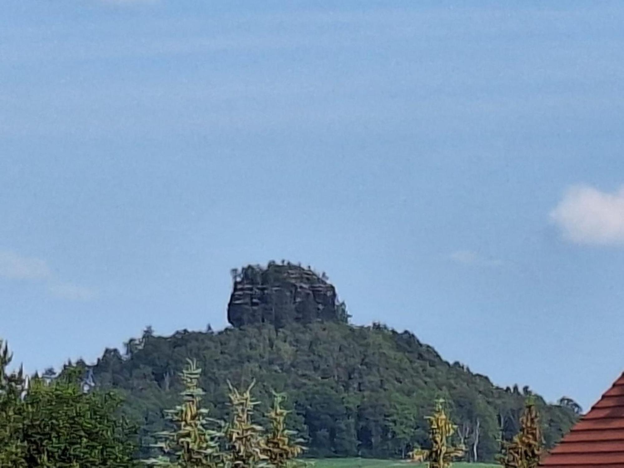Ferienwohnung Blick Zum Zirkelstein Reinhardtsdorf-Schona Экстерьер фото
