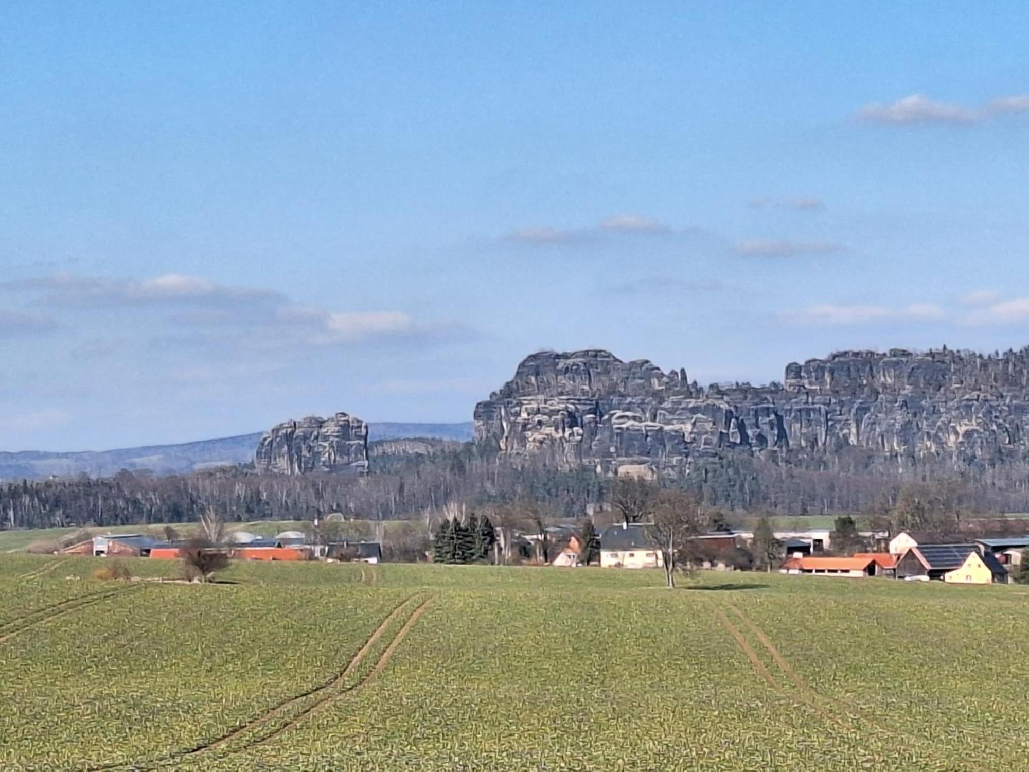 Ferienwohnung Blick Zum Zirkelstein Reinhardtsdorf-Schona Экстерьер фото